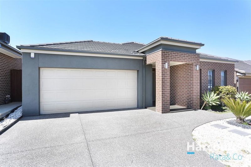 Photo - 18 Celtic Street, Wollert VIC 3750 - Image 14