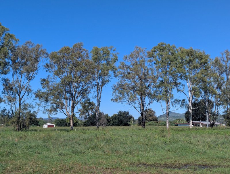 Photo - 18 Christopher Street, Grantham QLD 4347 - Image 3