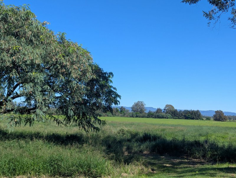 Photo - 18 Christopher Street, Grantham QLD 4347 - Image 17