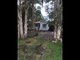 Photo - 18 Clifford Street, South Golden Beach NSW 2483 - Image 1