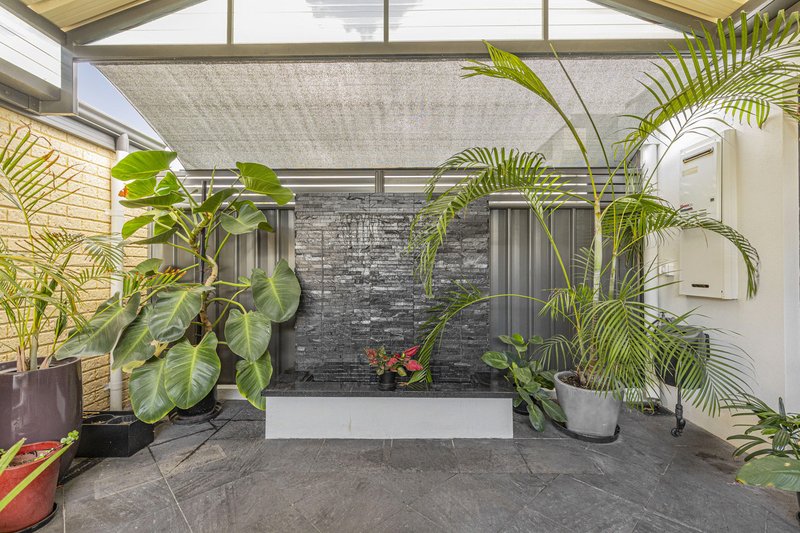 Photo - 18 Conferta Link, Banksia Grove WA 6031 - Image 19
