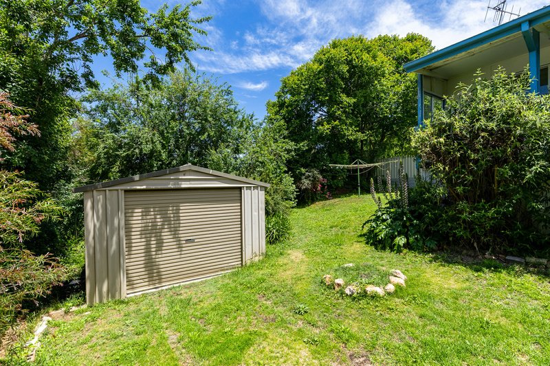 Photo - 18 Eden Street, Candelo NSW 2550 - Image 13