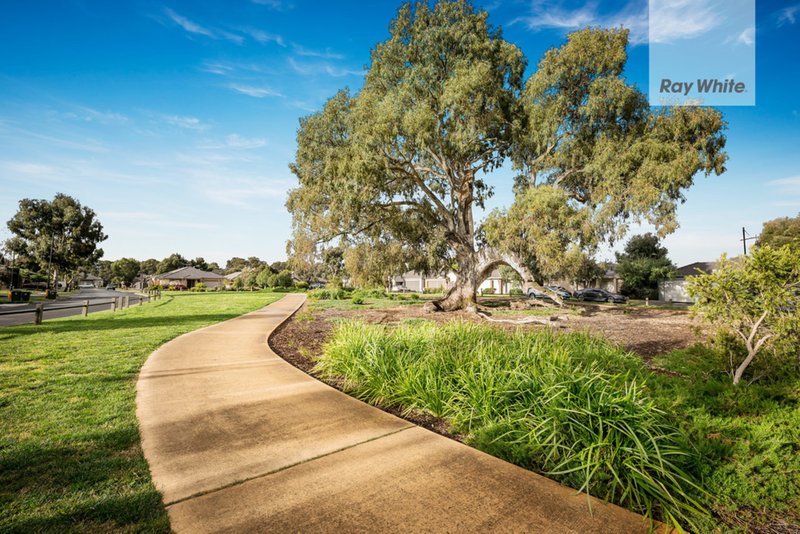 Photo - 18 Elmore Way, Mernda VIC 3754 - Image 6