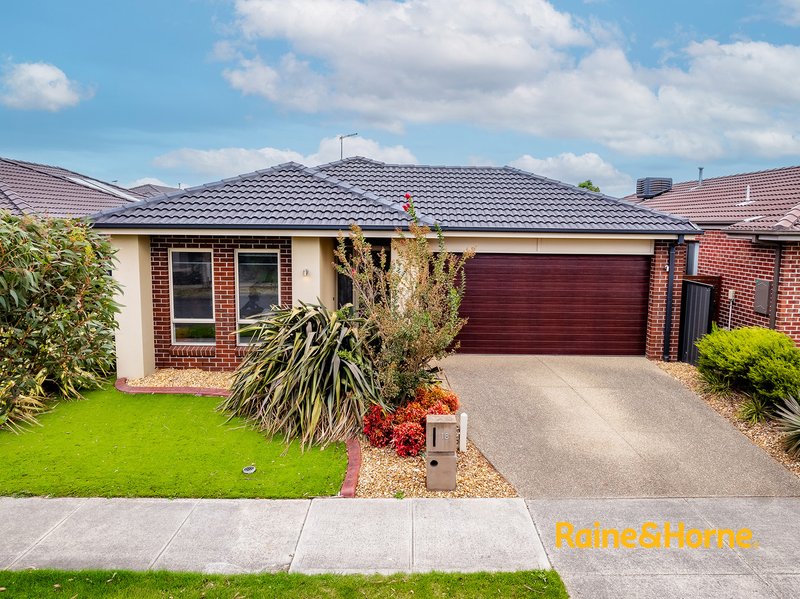 Photo - 18 Elodea Way, Cranbourne North VIC 3977 - Image 1