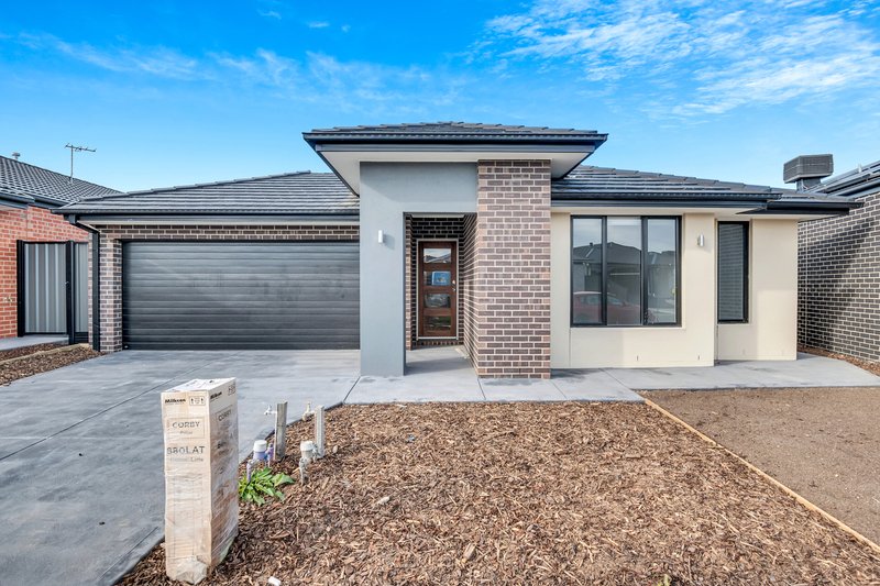 18 Erasmus Avenue, Craigieburn VIC 3064