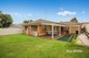 Photo - 18 Farmer Close, Glenwood NSW 2768 - Image 10