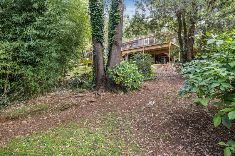 Photo - 18 Fern Gully Road, Cockatoo VIC 3781 - Image 17