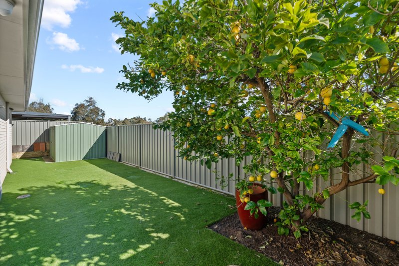 Photo - 18 Ferndown Corner, Wellard WA 6170 - Image 34