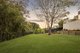 Photo - 18 Fifth Avenue, Bardon QLD 4065 - Image 4