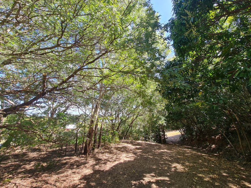 Photo - 18 Flinders Street, Cooktown QLD 4895 - Image 7