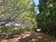 Photo - 18 Flinders Street, Cooktown QLD 4895 - Image 7