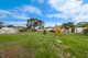 Photo - 18 Florence Street, Hamley Bridge SA 5401 - Image 1