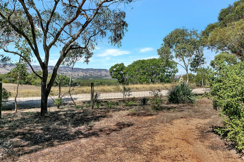 Photo - 18 Gods Hill Road, Lyndoch SA 5351 - Image 14