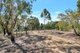 Photo - 18 Gods Hill Road, Lyndoch SA 5351 - Image 16