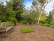Photo - 18 Grevillea Crescent, Stonyfell SA 5066 - Image 4