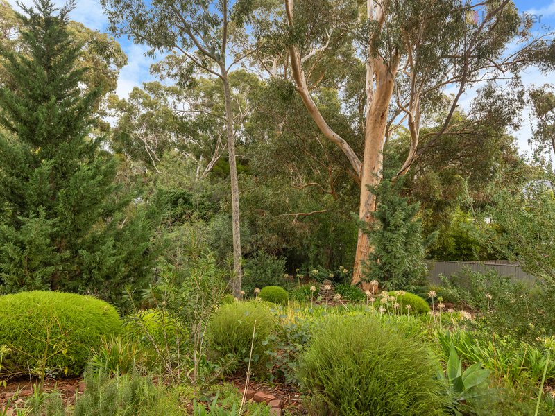 Photo - 18 Grevillea Crescent, Stonyfell SA 5066 - Image 5
