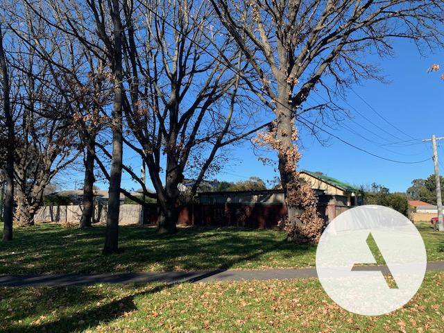 Photo - 18 Gymea Street, Narrabundah ACT 2604 - Image 24