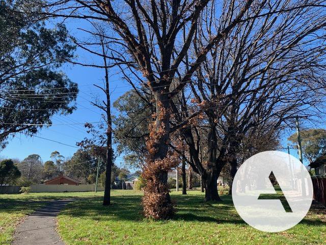 Photo - 18 Gymea Street, Narrabundah ACT 2604 - Image 27