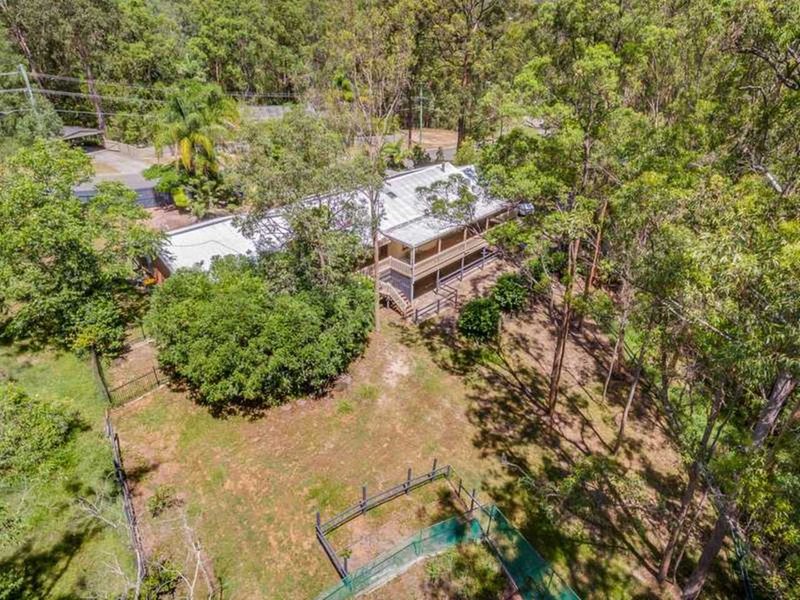 Photo - 18 Harry Mills Drive, Worongary QLD 4213 - Image 5