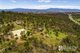 Photo - 18 Heald Road, Travellers Rest TAS 7250 - Image 3