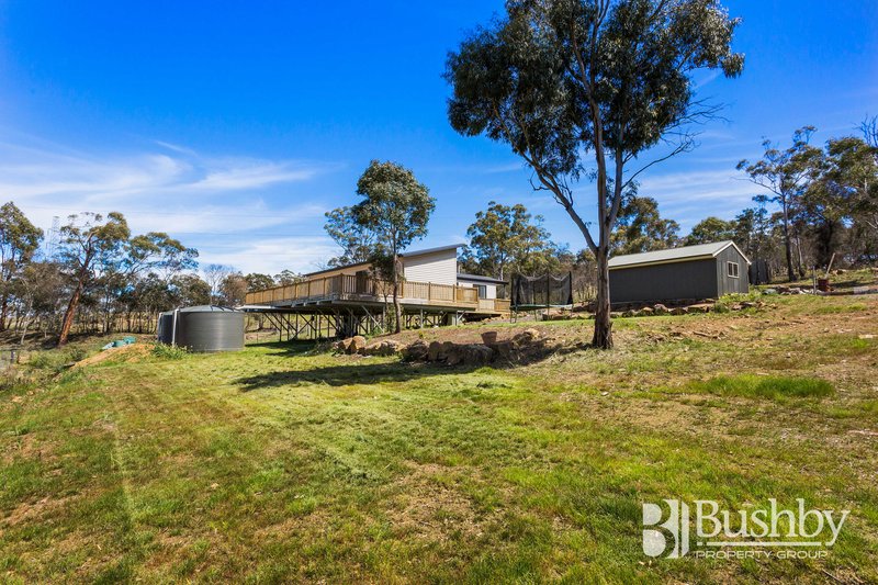 Photo - 18 Heald Road, Travellers Rest TAS 7250 - Image 6