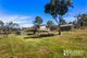 Photo - 18 Heald Road, Travellers Rest TAS 7250 - Image 6