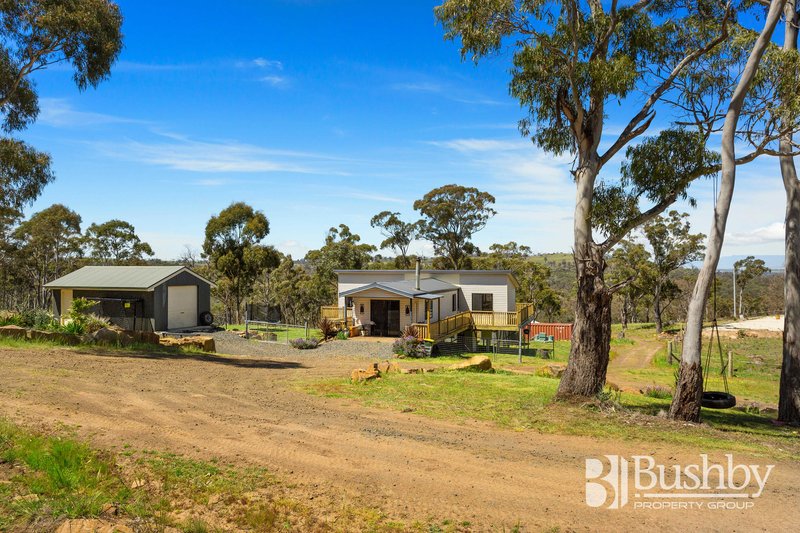 Photo - 18 Heald Road, Travellers Rest TAS 7250 - Image 7