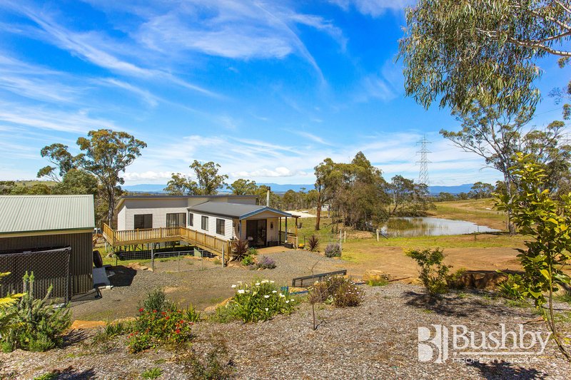 Photo - 18 Heald Road, Travellers Rest TAS 7250 - Image 8