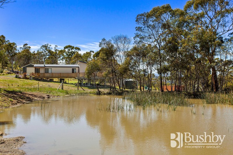 Photo - 18 Heald Road, Travellers Rest TAS 7250 - Image 16