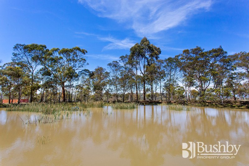 Photo - 18 Heald Road, Travellers Rest TAS 7250 - Image 17