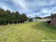 Photo - 18 Hibiscus Place, Bomaderry NSW 2541 - Image 9