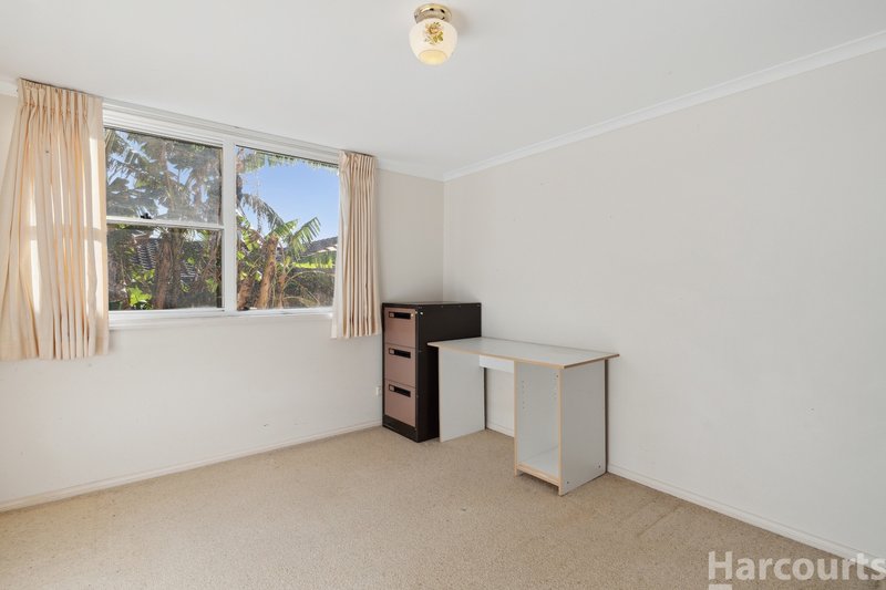 Photo - 18 Hillcrest Avenue, Port Macquarie NSW 2444 - Image 14