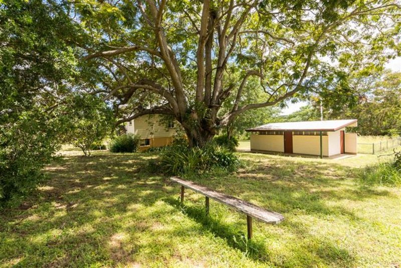 Photo - 18 Langmorn Street, Raglan QLD 4697 - Image 8