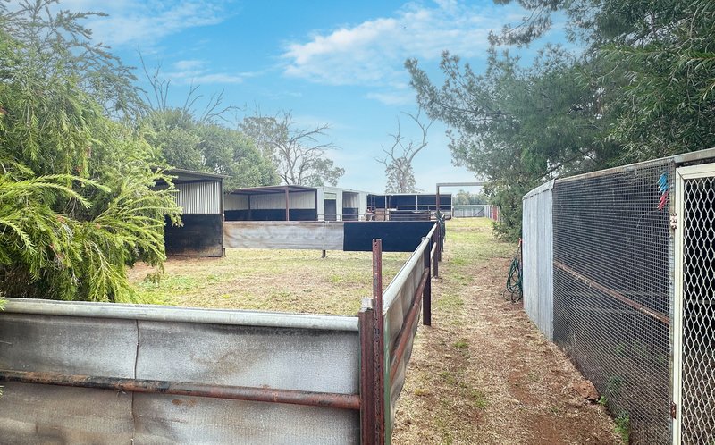 Photo - 18 Long Street, Trundle NSW 2875 - Image 6