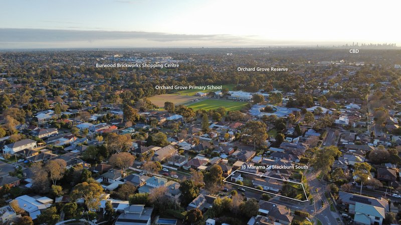 Photo - 18 Marama Street, Blackburn South VIC 3130 - Image 12