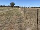 Photo - 18 Miles Road, Forbes NSW 2871 - Image 3