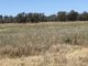 Photo - 18 Miles Road, Forbes NSW 2871 - Image 5