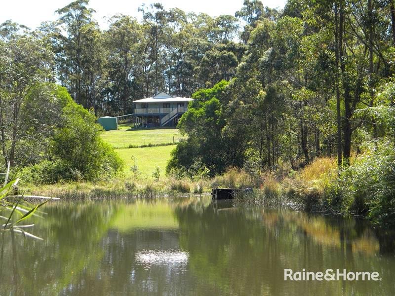 Photo - 18 Mitchell Court, Cooran QLD 4569 - Image 14