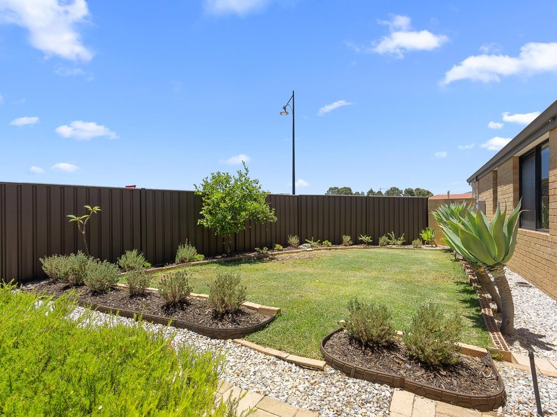 Photo - 18 Murrumbidgee Drive, Hammond Park WA 6164 - Image 24