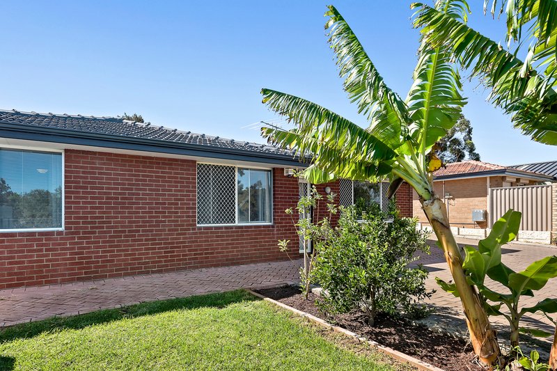 Photo - 18 Nineham Avenue, Spearwood WA 6163 - Image 12