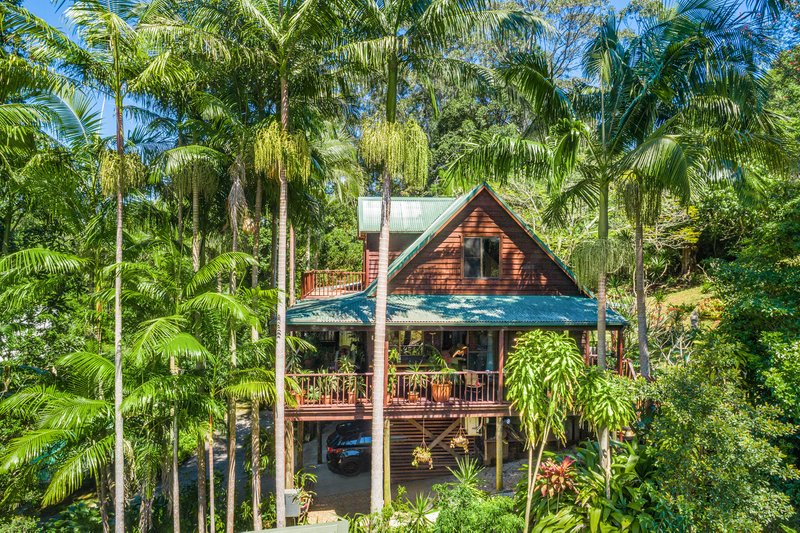 Photo - 18 Palm Tree Crescent, Bangalow NSW 2479 - Image 3