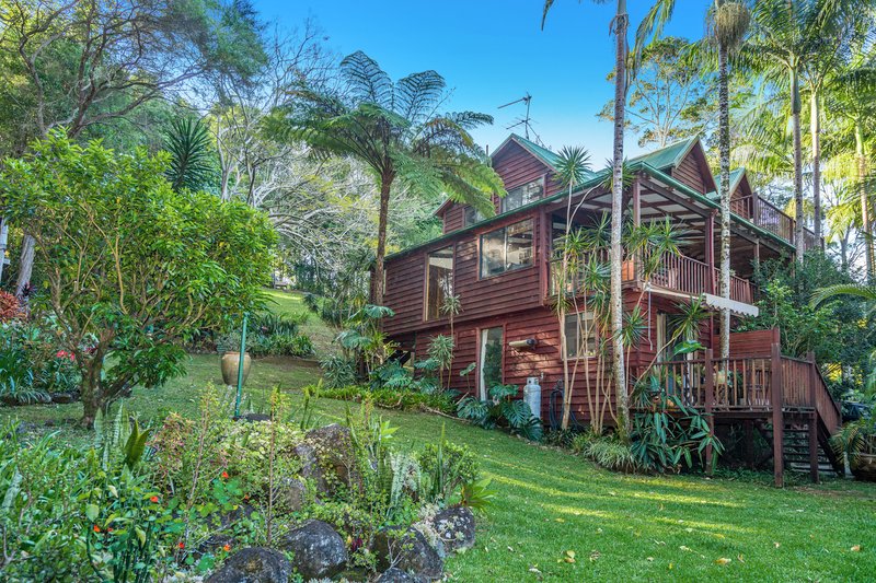 Photo - 18 Palm Tree Crescent, Bangalow NSW 2479 - Image 4