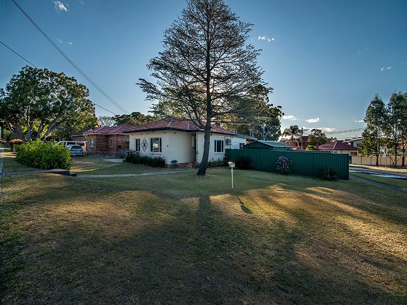 Photo - 18 Park Road, East Hills NSW 2213 - Image 3