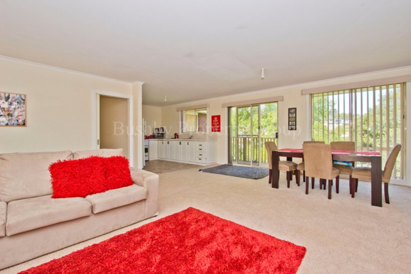 Photo - 18 Pedder Street, South Launceston TAS 7249 - Image 4