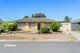 Photo - 18 Pele Avenue, Salisbury East SA 5109 - Image 1