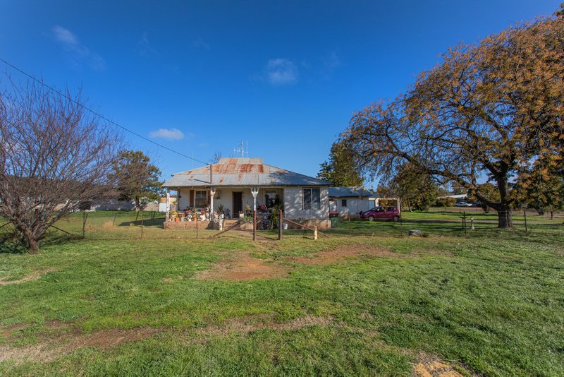 18 Radnor Street, Canowindra NSW 2804