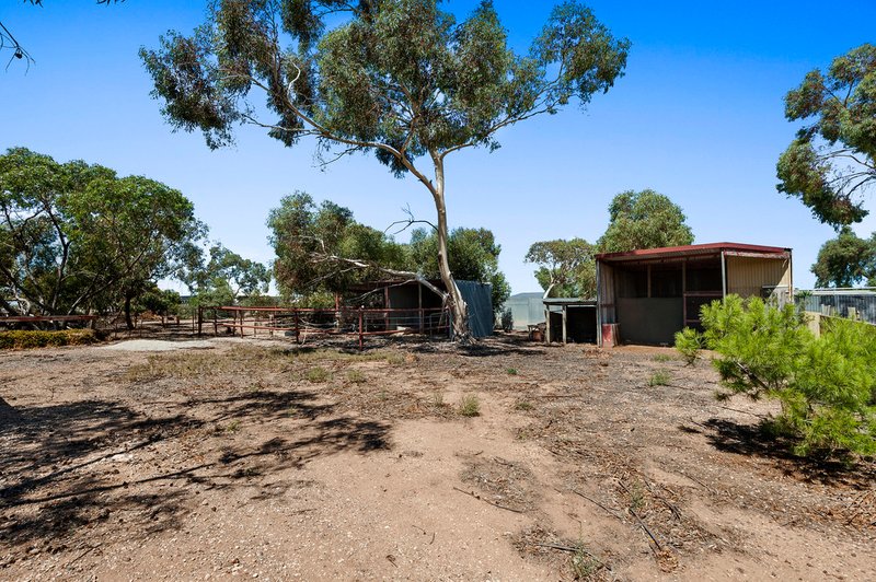 Photo - 18 Ramsey Street, Kadina SA 5554 - Image 14