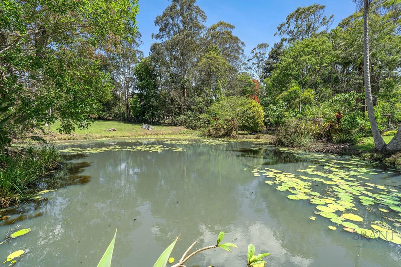 Photo - 18 Ravensberg Drive, Witta QLD 4552 - Image 9