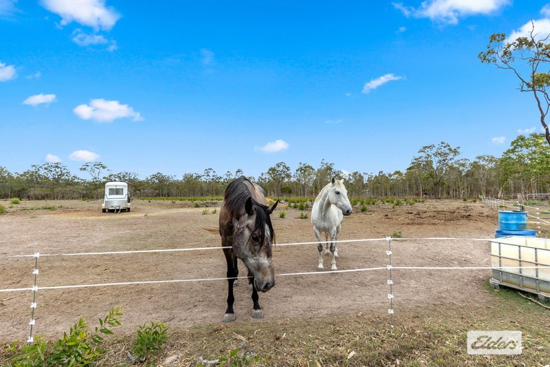 Photo - 18 Richards Road, Pacific Haven QLD 4659 - Image 27