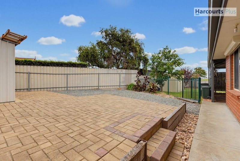 Photo - 18 Riddoch Crescent, Woodcroft SA 5162 - Image 19